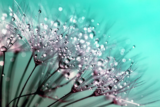 newsletter 2024 - main - in-line - 560 x 375 (43) (1)